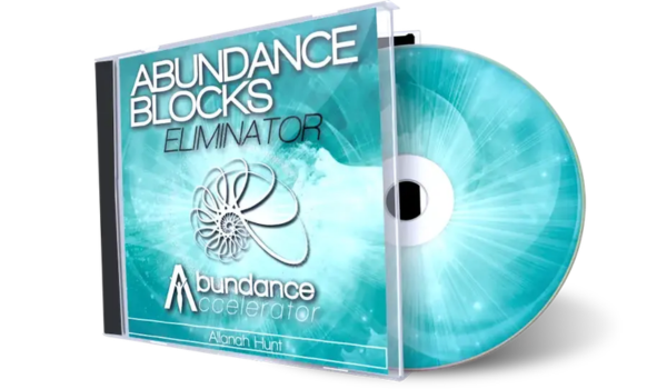 Abundance Accelerator 2.0 Bonus 1