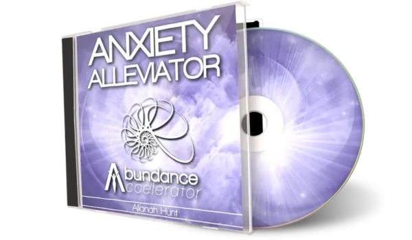 Abundance Accelerator 2.0 Bonus 2