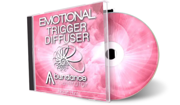 Abundance Accelerator 2.0 Bonus 3