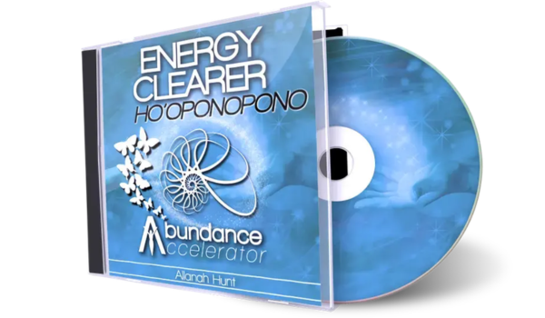 Abundance Accelerator 2.0 Bonus 4
