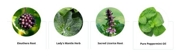 Enki Elixir Ingredients