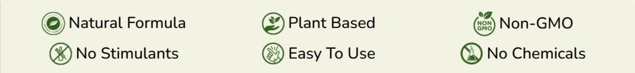 MemoryFuel Certification