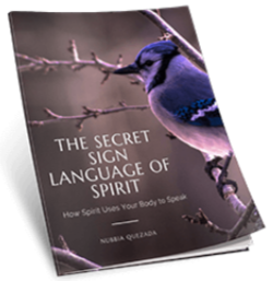 The Soul Bridge Miracle Bonus 2